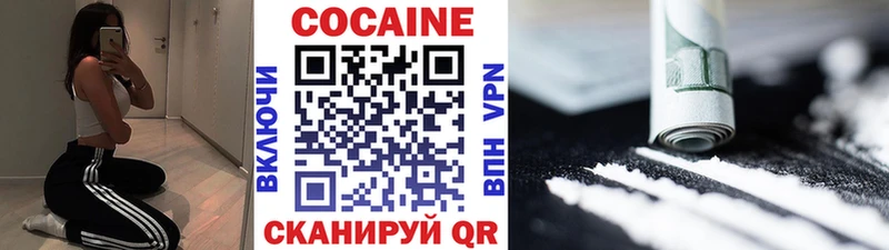 где продают   Зеленогорск  COCAIN FishScale 