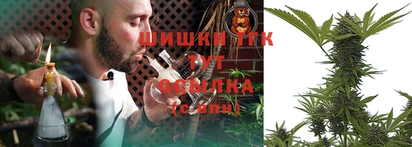 молекула духа Вяземский