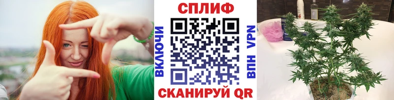 где найти   Зеленогорск  Шишки марихуана конопля 